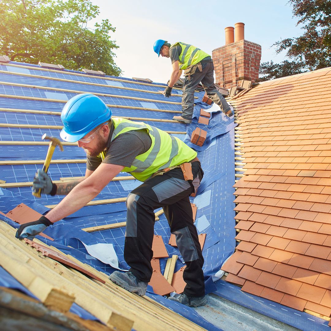 New Roofs